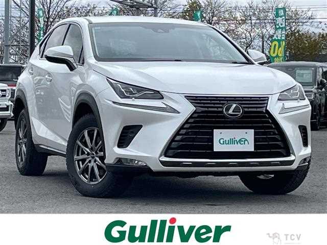 2018 Lexus NX