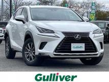 2018 Lexus NX