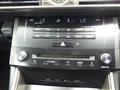 2013 Lexus IS