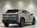 2018 Lexus UX