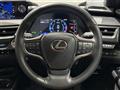 2018 Lexus UX