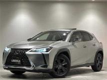 2018 Lexus UX