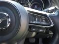 2019 Mazda CX-8