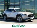 2022 Mazda CX-3