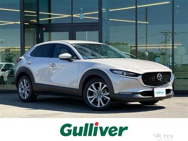 2022 Mazda CX-3