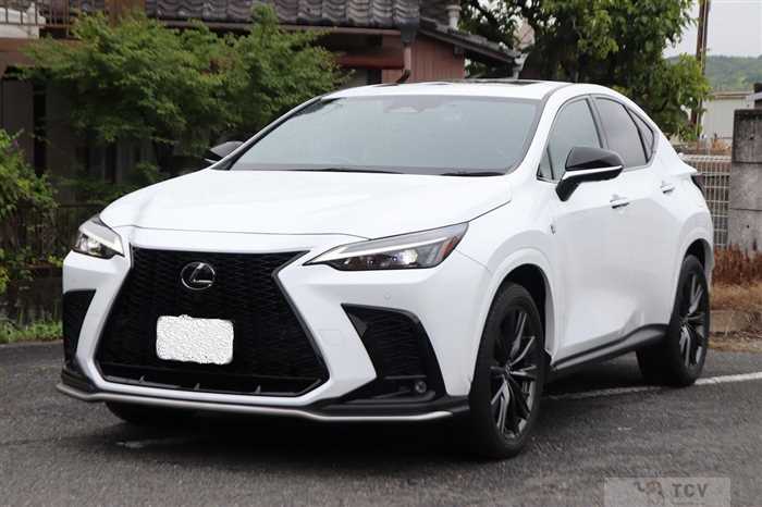 2022 Lexus NX