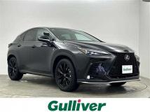 2025 Lexus NX