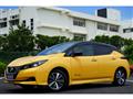2019 Nissan Nissan Others