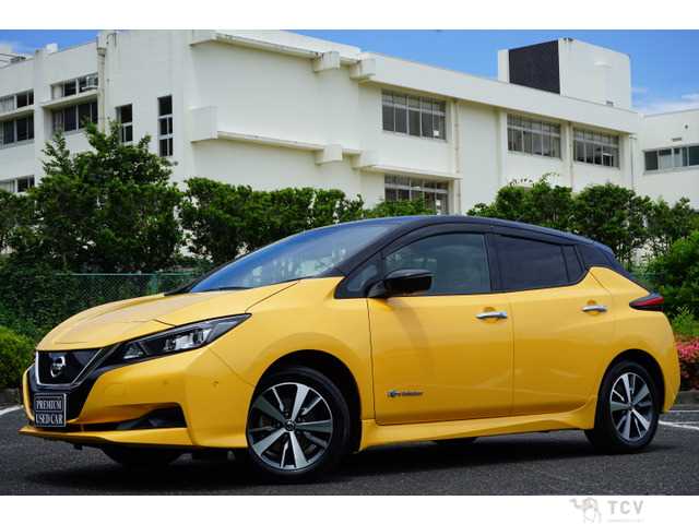 2019 Nissan Nissan Others