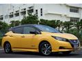 2019 Nissan Nissan Others