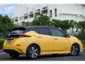 2019 Nissan Nissan Others