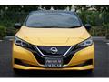 2019 Nissan Nissan Others