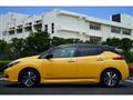 2019 Nissan Nissan Others