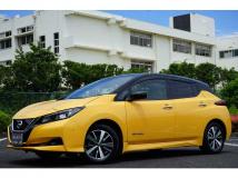 2019 Nissan Nissan Others