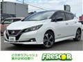 2017 Nissan Nissan Others