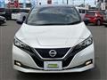 2017 Nissan Nissan Others