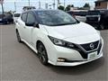2017 Nissan Nissan Others