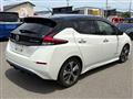 2017 Nissan Nissan Others