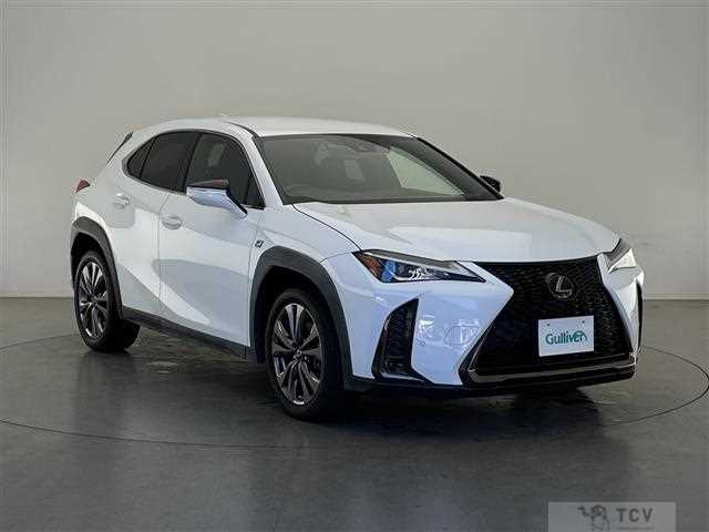 2019 Lexus UX