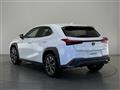 2019 Lexus UX