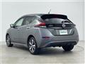 2019 Nissan Leaf