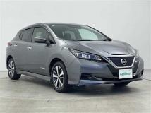 2019 Nissan Leaf