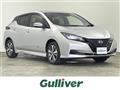 2021 Nissan Leaf