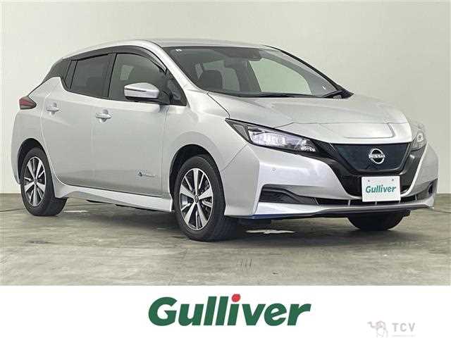 2021 Nissan Leaf