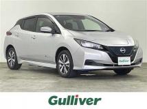 2021 Nissan Leaf
