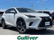 2018 Lexus NX
