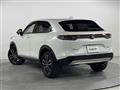 2021 Honda VEZEL