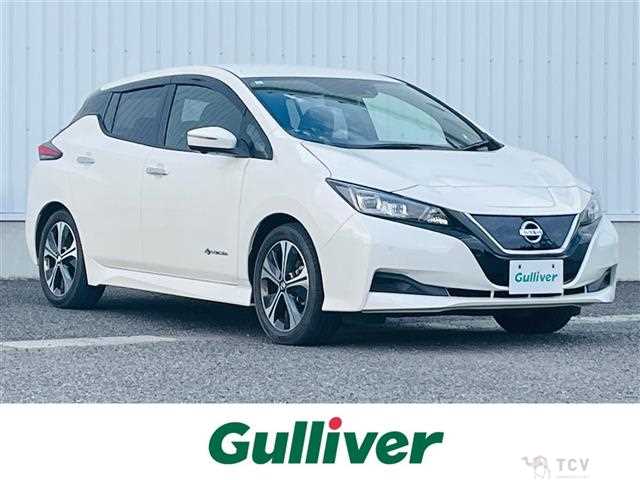 2021 Nissan Leaf