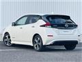 2021 Nissan Leaf