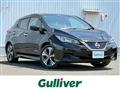 2021 Nissan Leaf