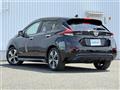 2021 Nissan Leaf