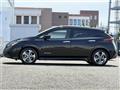 2021 Nissan Leaf