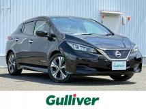 2021 Nissan Leaf