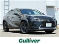 2019 Lexus UX