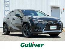 2019 Lexus UX