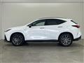 2022 Lexus NX
