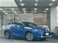 2021 Lexus UX