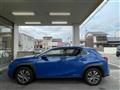 2021 Lexus UX