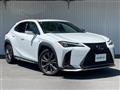 2020 Lexus UX