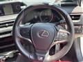 2020 Lexus UX