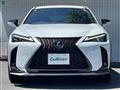 2020 Lexus UX