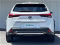 2020 Lexus UX