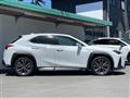 2020 Lexus UX