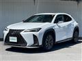 2020 Lexus UX