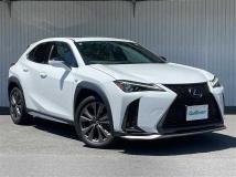 2020 Lexus UX