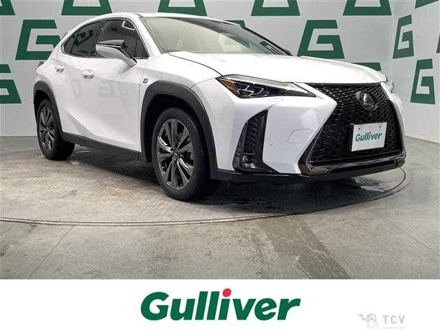 2019 Lexus UX